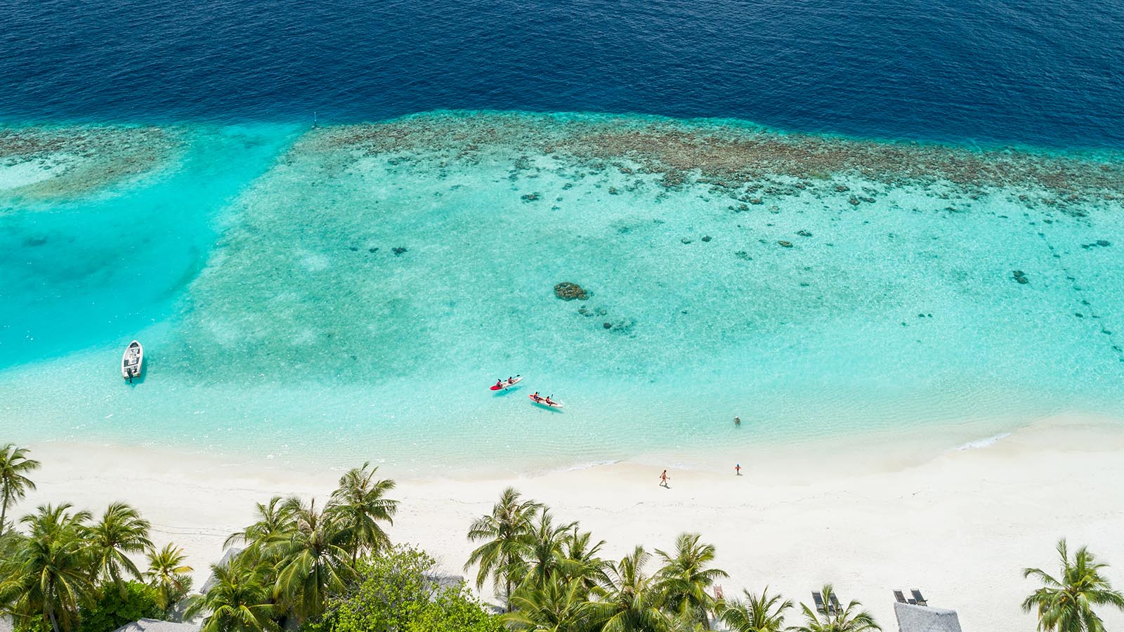 Kihaa Maldives Resort reef